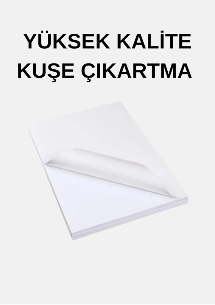 Kuşe Etiketlerde Maksimum Parlaklık İçin Renk Yönetimi